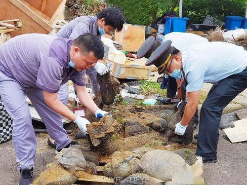 润联物业丨新时代 新担当 深耕一线 攻坚克难 众志成城 只为您